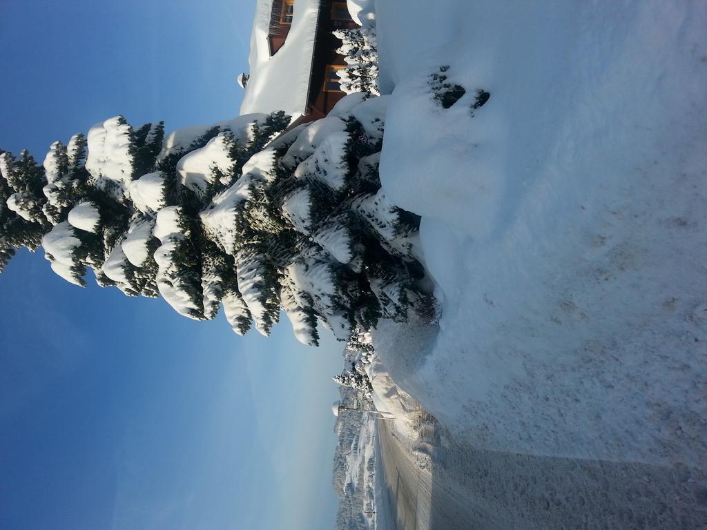 Ferienhaus Troy Doren Rom bilde